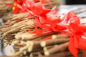 【走进甘肃地理标志】陇西黄芪图片