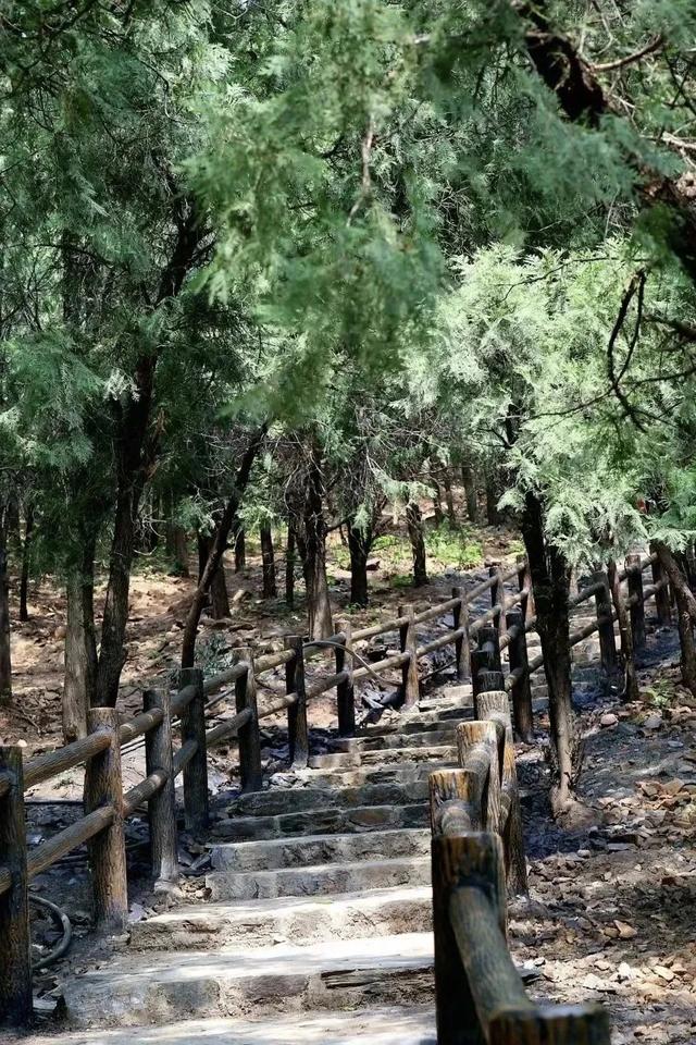 京西有惊喜，一起过暑期｜跟着这份“休闲寻味”路线，轻松一下吧！