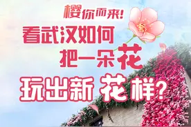 “樱”你而来！看武汉如何把一朵花玩出新“花”样？图片