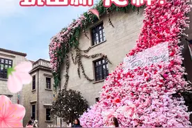 “樱”你而来！看武汉如何把一朵花玩出新“花”样？图片