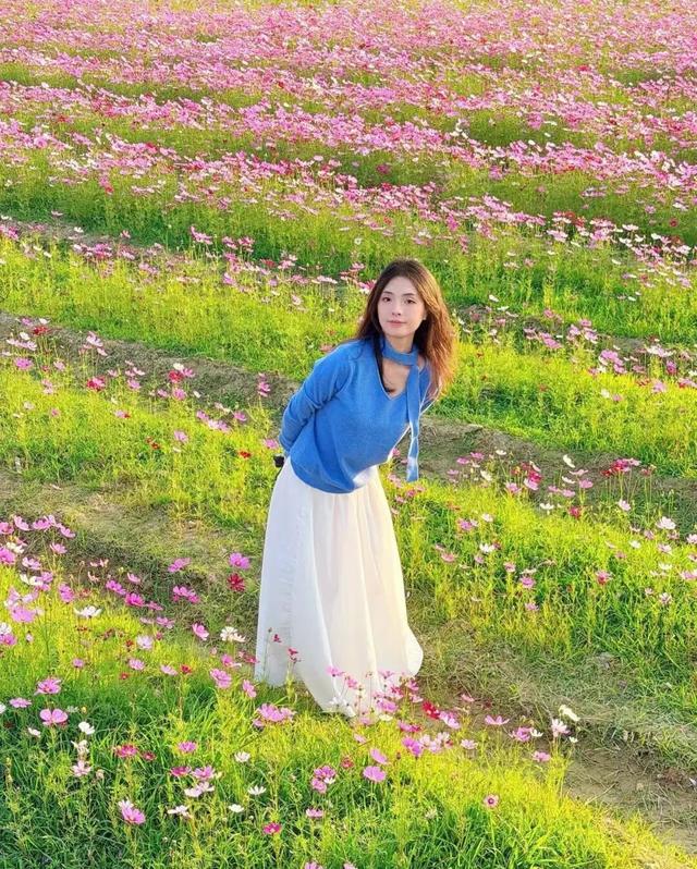 阳江冬日限定“粉海”！市区出发，仅需半小时车程