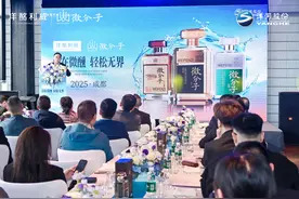 春糖会对话：洋河微分子揭秘新酒饮赛道生存法则图片