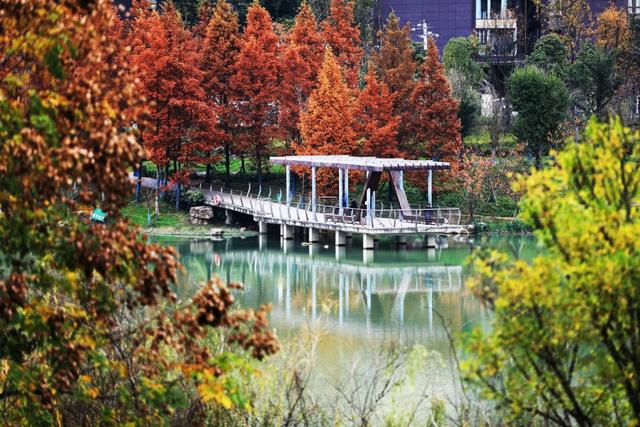 图库推荐丨黔西：草木染初冬，湖畔绘锦卷