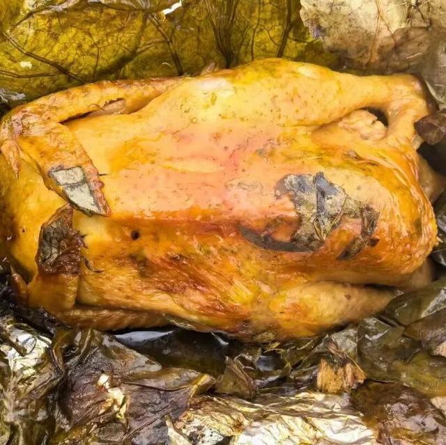 在美丽南方，赴一场诗意画卷~