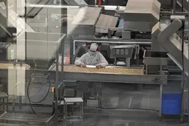 拼多多“新质供给”改写电商故事，助力老牌坚果巨头开发年货“新爆品”图片