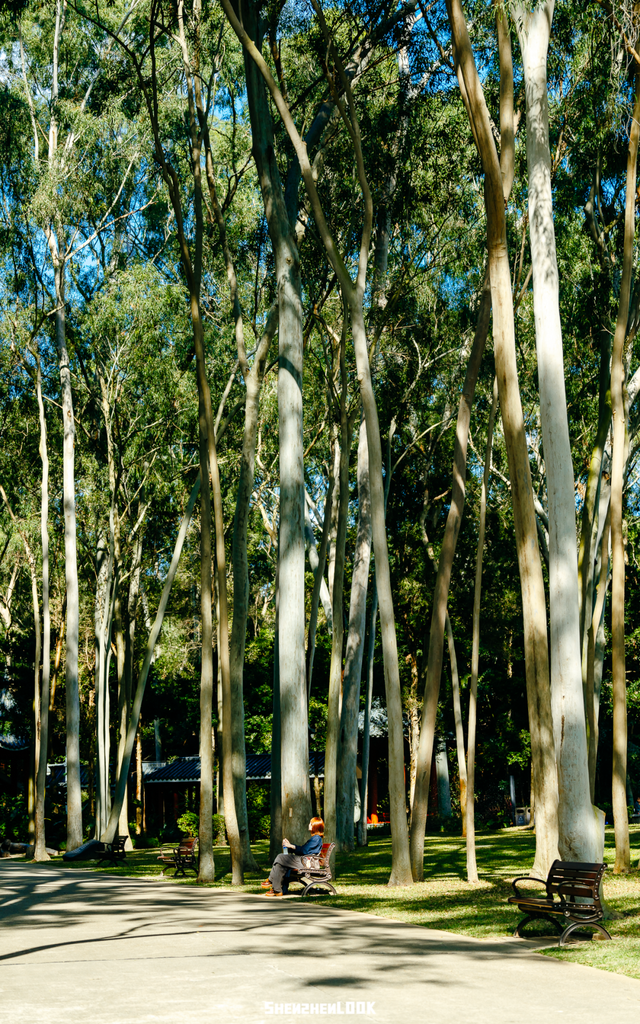 开在公园里的玻璃书房 · 深圳新安静空间