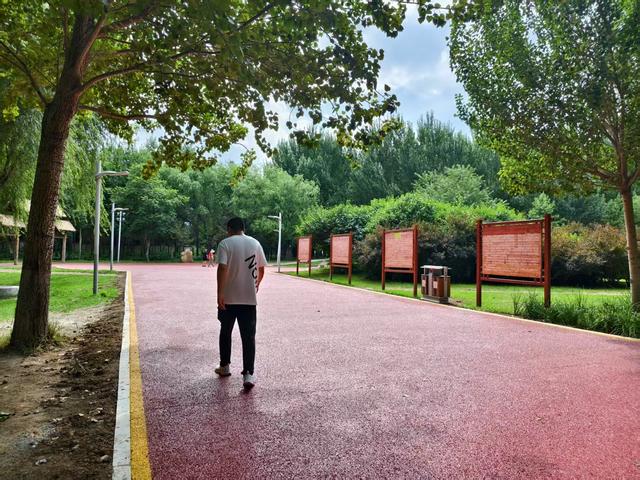 长春公园四号湖环湖路升级完成，邀您共赏新景
