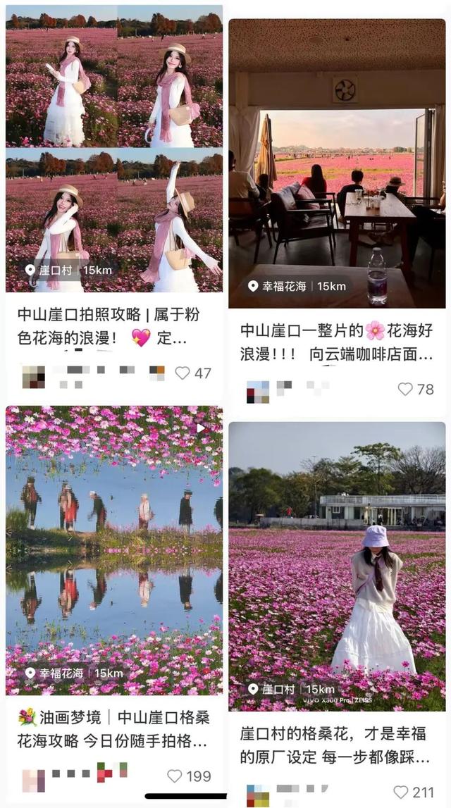 千万粉丝博主打卡中山花海：好美！