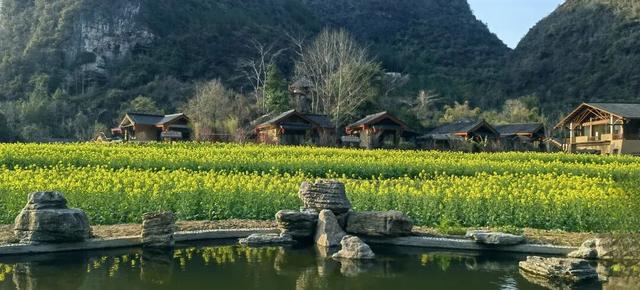 无限暖意！广西发布6条“康养旅居 冬游广西”系列精品线路