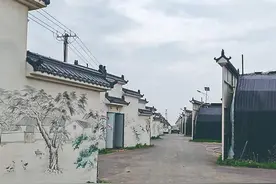 “徽派”果蔬大棚夺眼球图片
