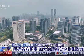 加大治理拖欠企业账款力度 新修订《保障中小企业款项支付条例》要点一览视频封面