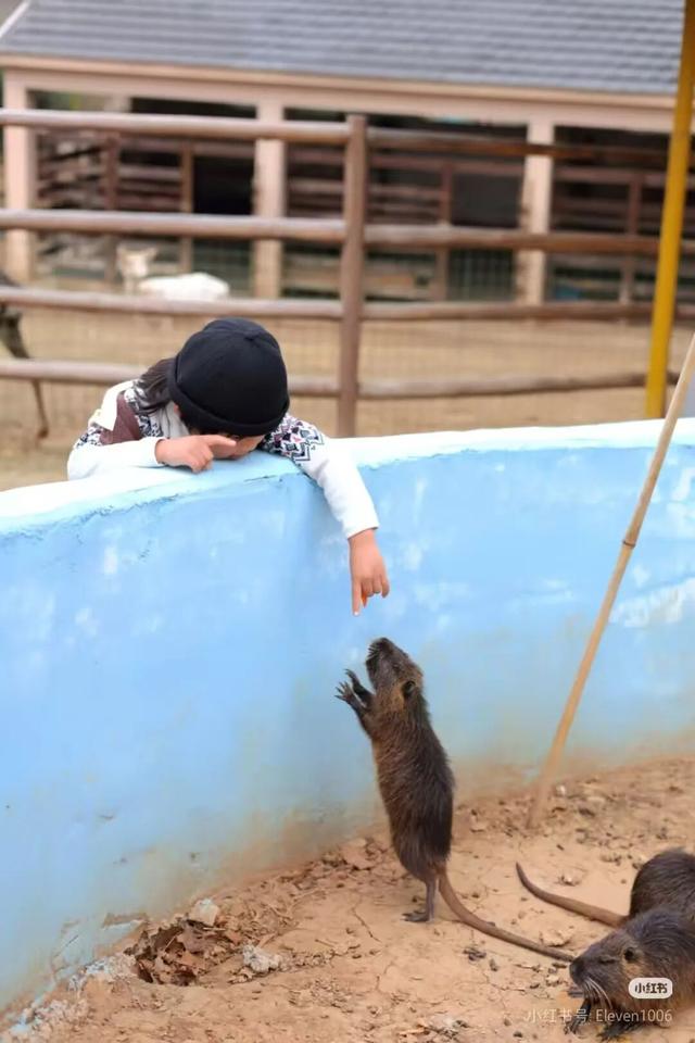 江宁初冬亲子“三件套”→