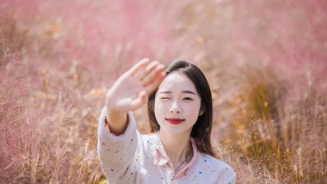 不来盐城，怎知秋色如许？