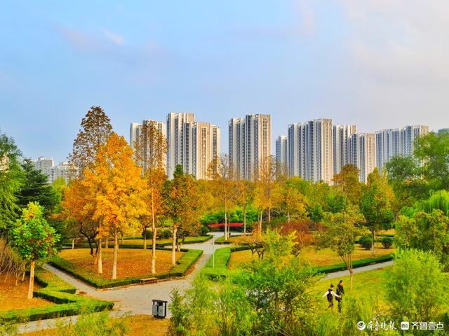 沂河岸边秋景美，抬眸尽是好风光