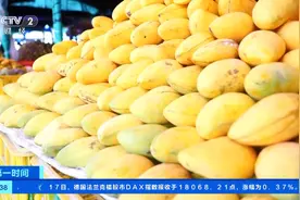 你“心水”的广西百色芒果，上市时间定啦！总产量或达125万吨→图片
