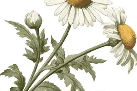 @2025年高考生，省教育考试院来信图片