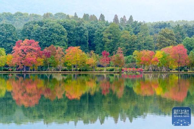 秋声渐杳 斑斓成诗