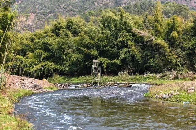 楚雄春日野趣地图上线！每一处都想立刻出发