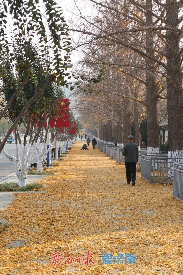 关注“家门口的风景线”，市民“支招”山体公园建设