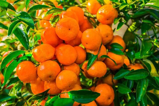 八桂秋韵！举起相机，把广西秋色拍成旅行基金！