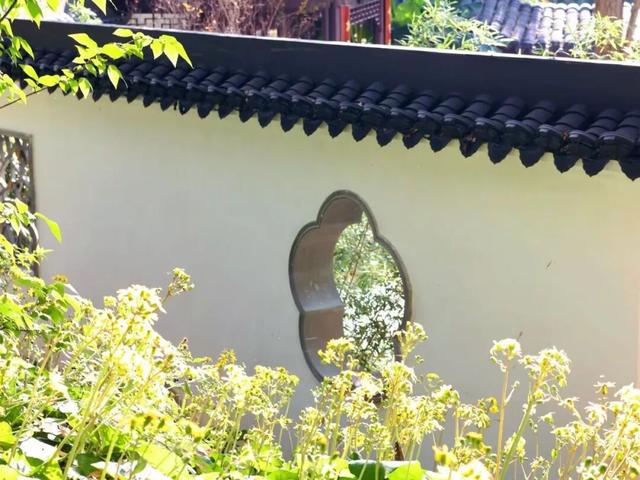 在雨山邂逅暗香苑，寻见一方藏在城市角落的桃花源