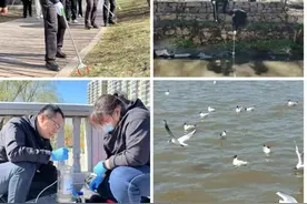 世界地球日丨来何家沟 开启护水清岸行动！图片
