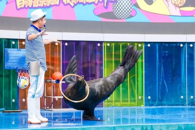 就今天！巅峰日夜狂欢开启！