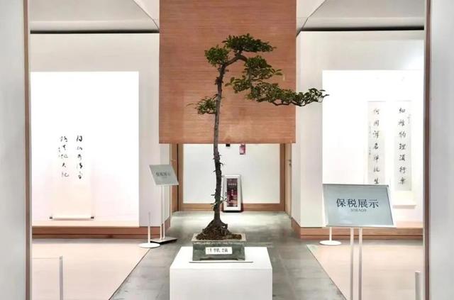 “文化前海”加速奔跑