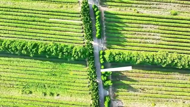 快来打卡！在日照，遇见“煤”好！