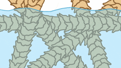 羊毛衫一洗就缩水，那绵羊淋了雨	，会不会被羊毛勒死？