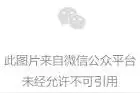 巴黎时装周 | 明星看秀造型一饱眼福，王一博个性出彩、露额头的李宇春高贵冷艳图片