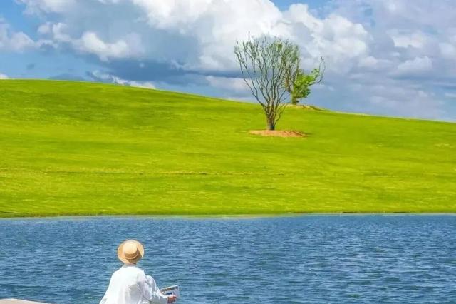 快来打卡！在日照，遇见“煤”好！