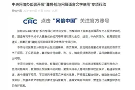 扫除黑话烂梗，欢迎有意义的“话”和“梗”流行图片