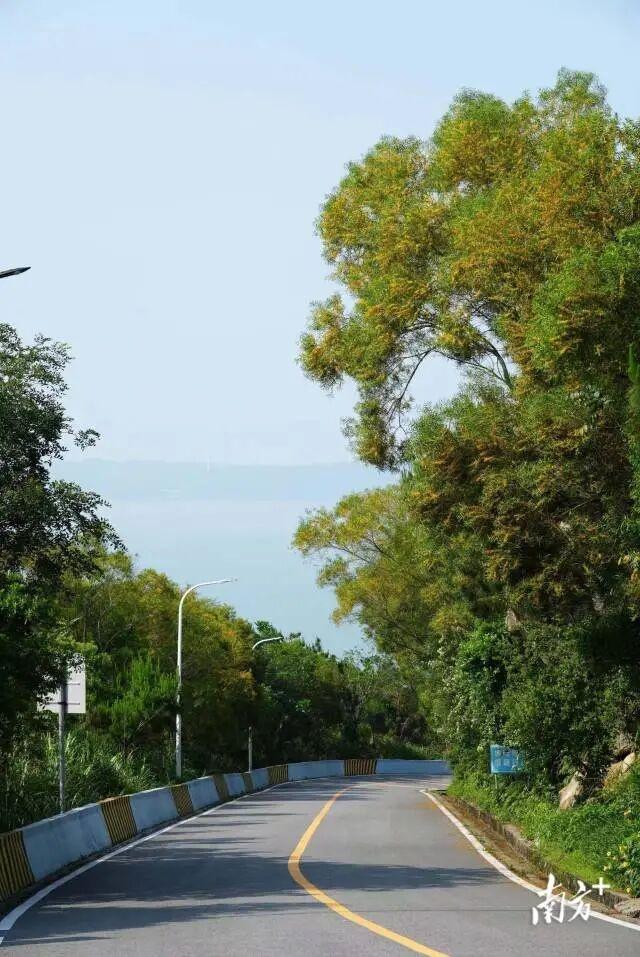前路皆是美景！赵立坚推荐南澳岛风光，这些打卡点不容错过！