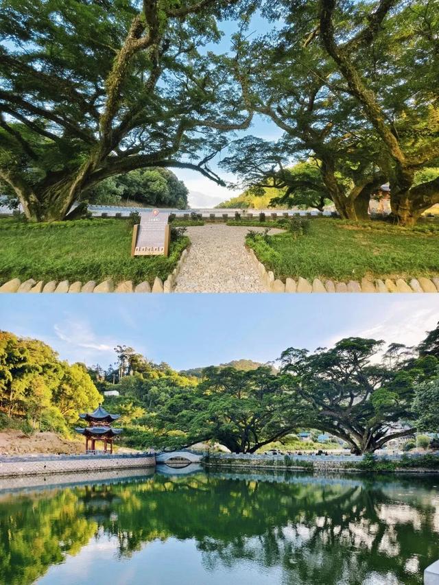福鼎，一座为浪漫而生的城市！这些打卡地，你去过几个？