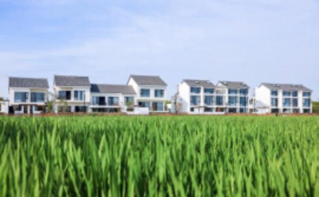 奉贤区景区限时免票或半价来了