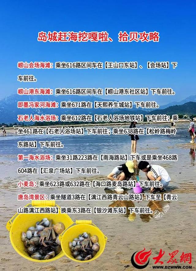 秋日赶海更舒适 温馨巴士带您玩转岛城赶海地 解锁“秋日第一桶嘎啦”