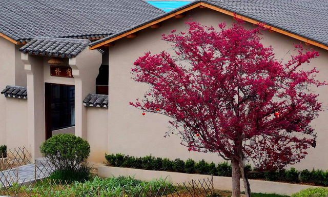 跟着赛事游四会，精选民宿清单藏不住啦！（内附专属十五运会酒店福利）