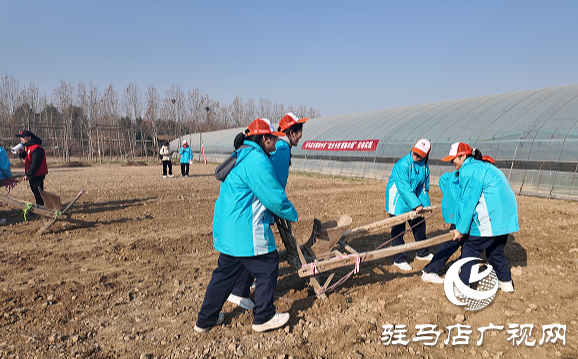 驻马店市第四中学开展“徒步乡野 探秘农耕 感悟成长”研学活动
