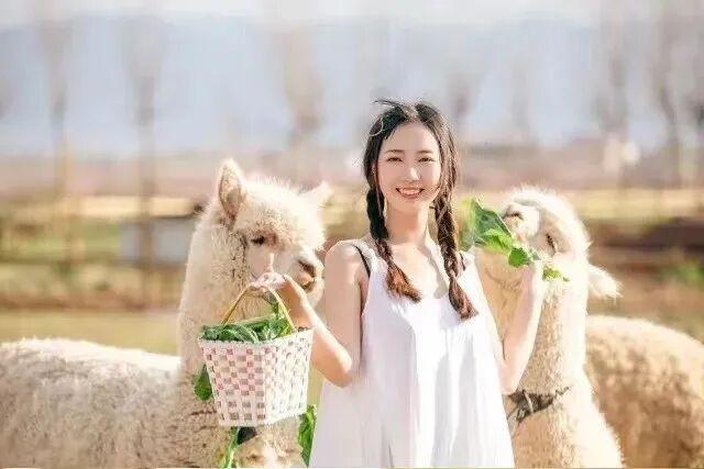 龙虎仙山邀您共赴秋日之约！10月25日起免费畅游体验牧场，骑马赏花探萌宠，邂逅龙虎仙境！