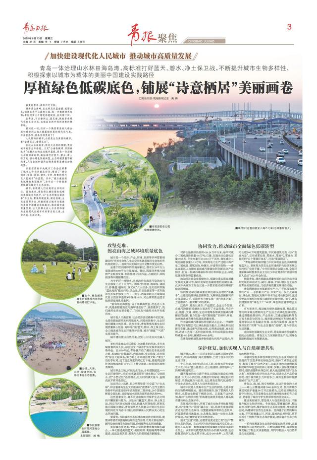 望得见山、看得见水！青岛一体治理山水林田海岛湾，铺展“诗意栖居”美丽画卷