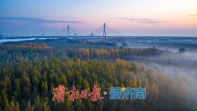 换个视角瞰济南，黄河平流雾美成“云端仙境”