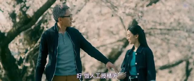 育儿补贴政策与生育技术探讨