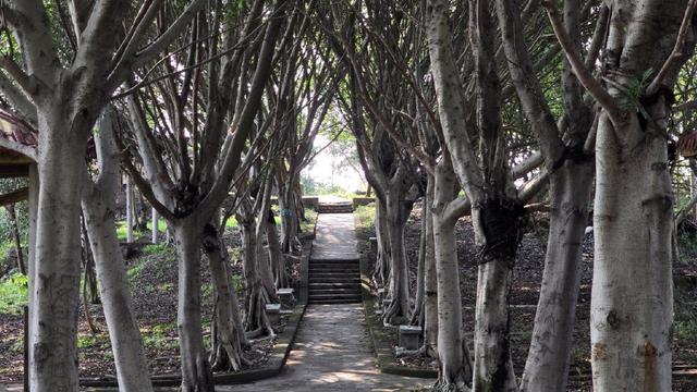 中央公园片区滨水公园+1！公园打卡地图全线刷新→