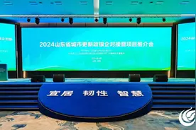 共促“城”长，向“新”而行 德州3个项目参加2024山东省城市更新政银企对接暨推介活动图片
