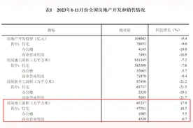 年终特刊｜全国“保交楼”专项借款项目总体复工率近100%，实现交付超268万套图片
