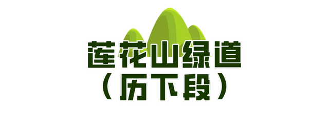 一城山色·泉城绿道 | 历下区山林绿道串起市民美好生活