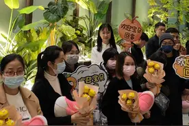 平安到家！11个“小砂糖橘”已回到广西图片