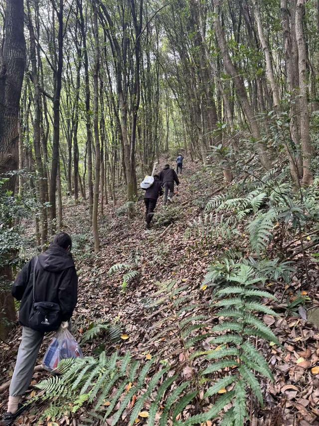 宁波大学师生挖蚯蚓线虫样本 建成浙江首个市级土壤生物数据库