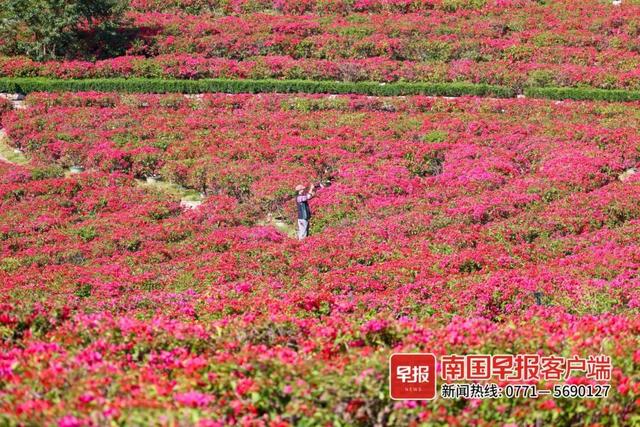 全国暖冬城市TOP3 ！南宁邀您共赴康养旅居之旅